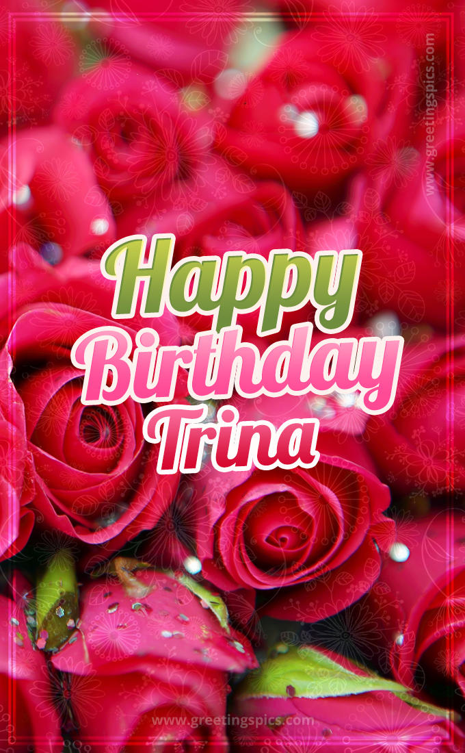 Happy Birthday Trina beautiful Image with red roses (tall rectangle shape picture)