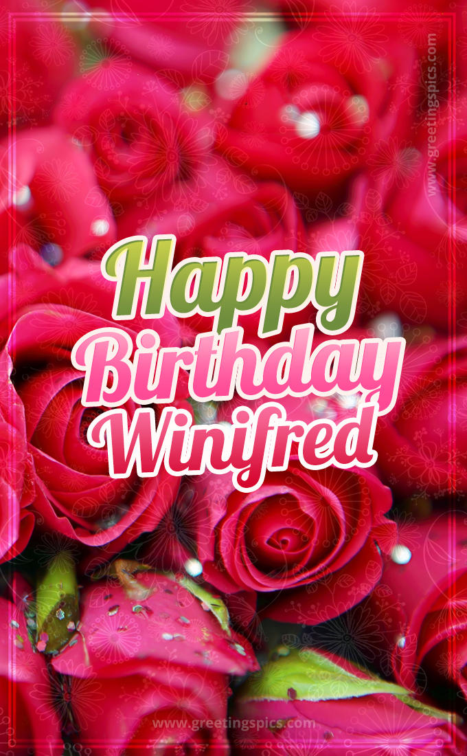 Happy Birthday Winifred beautiful Image with red roses (tall rectangle shape picture)