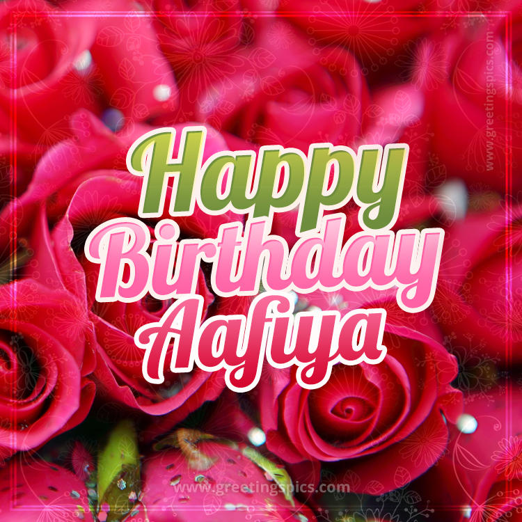 Happy Birthday Aafiya beautiful Image with red roses (square shape image)