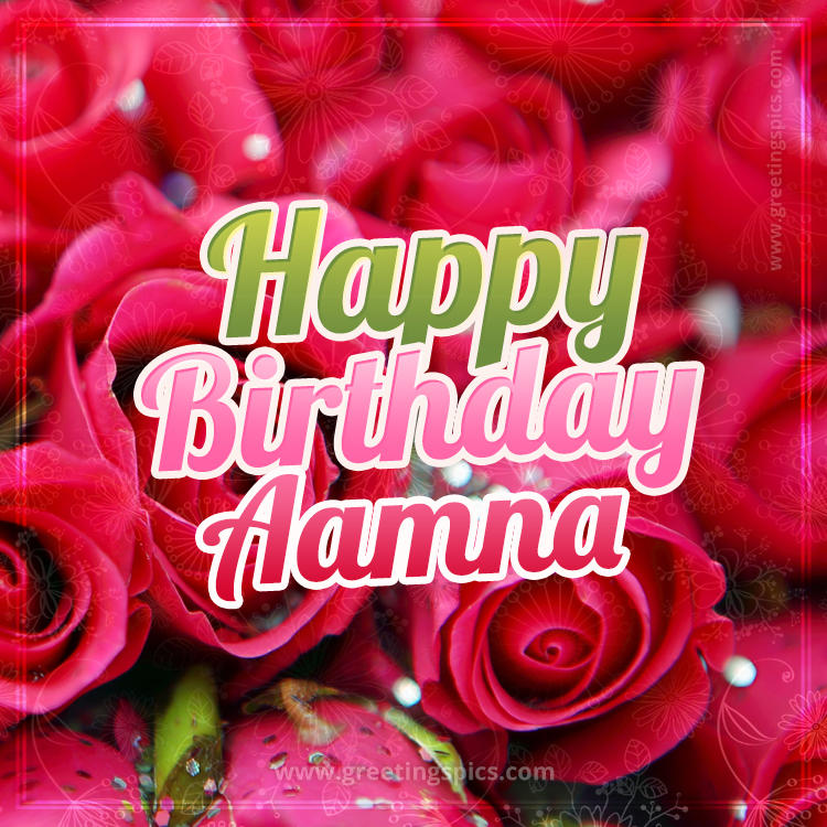 Happy Birthday Aamna beautiful Image with red roses (square shape image)