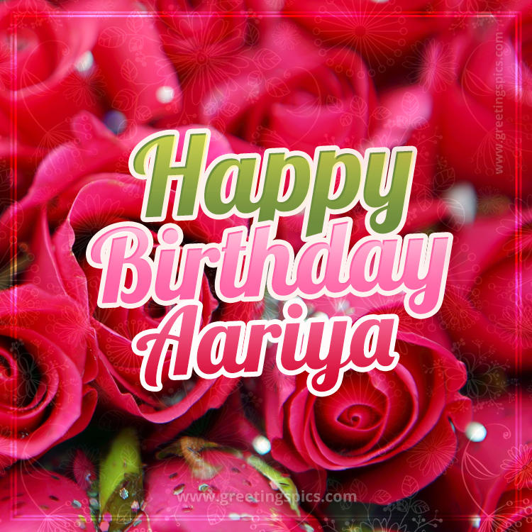 Happy Birthday Aariya beautiful Image with red roses (square shape image)