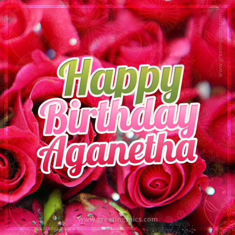 Happy Birthday Aganetha beautiful Image with red roses (square shape image)