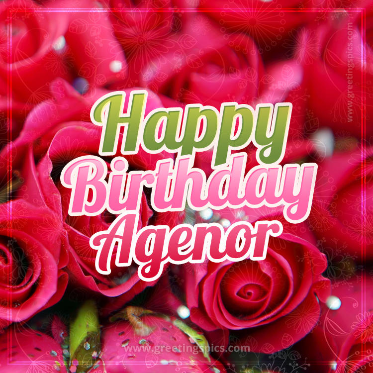 Happy Birthday Agenor beautiful Image with red roses (square shape image)