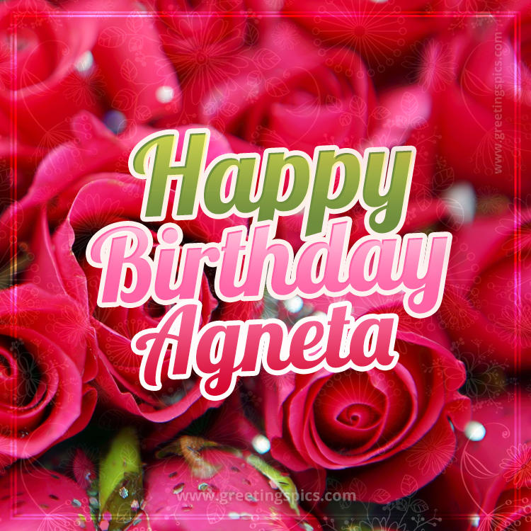 Happy Birthday Agneta beautiful Image with red roses (square shape image)