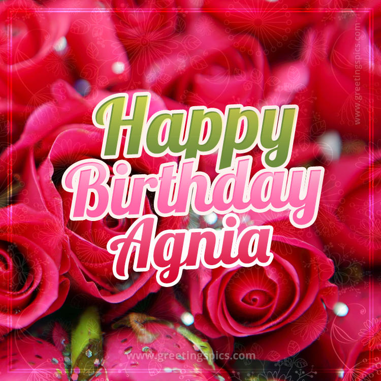 Happy Birthday Agnia beautiful Image with red roses (square shape image)
