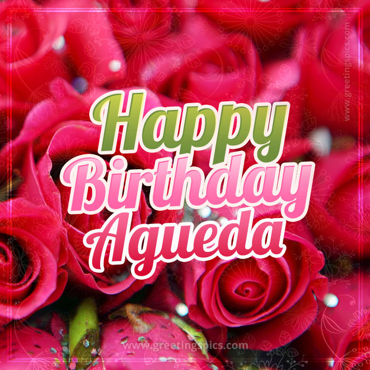 Happy Birthday Agueda beautiful Image with red roses (square shape image)