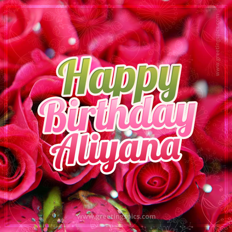 Happy Birthday Aliyana beautiful Image with red roses (square shape image)