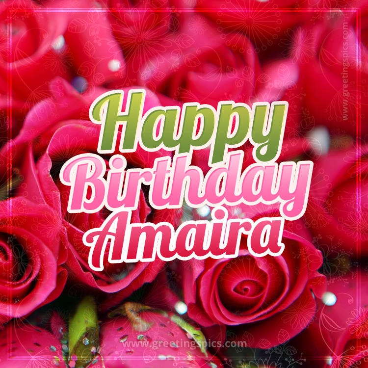 Happy Birthday Amaira beautiful Image with red roses (square shape image)