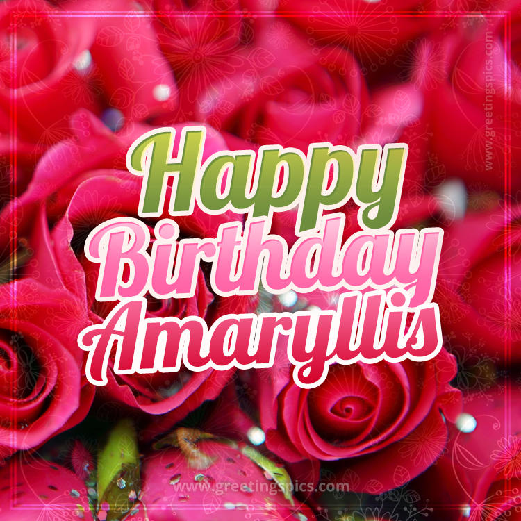 Happy Birthday Amaryllis beautiful Image with red roses (square shape image)