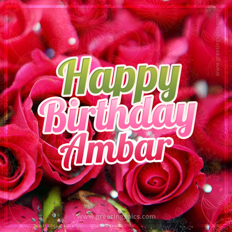 Happy Birthday Ambar beautiful Image with red roses (square shape image)