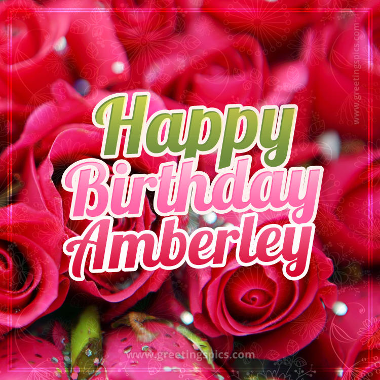 Happy Birthday Amberley beautiful Image with red roses (square shape image)