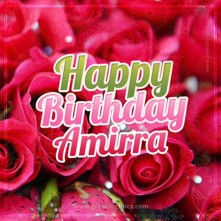 Happy Birthday Amirra beautiful Image with red roses (square shape image)