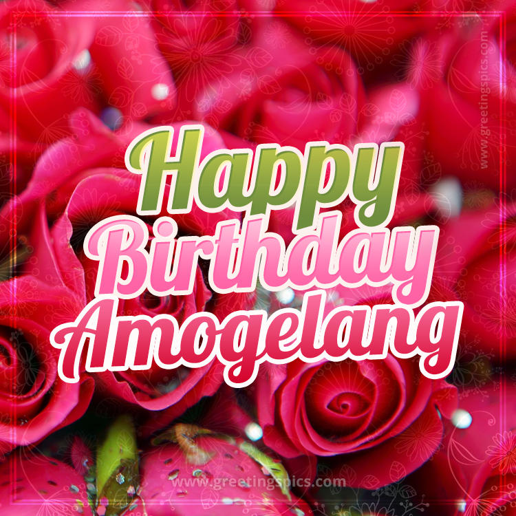 Happy Birthday Amogelang beautiful Image with red roses (square shape image)