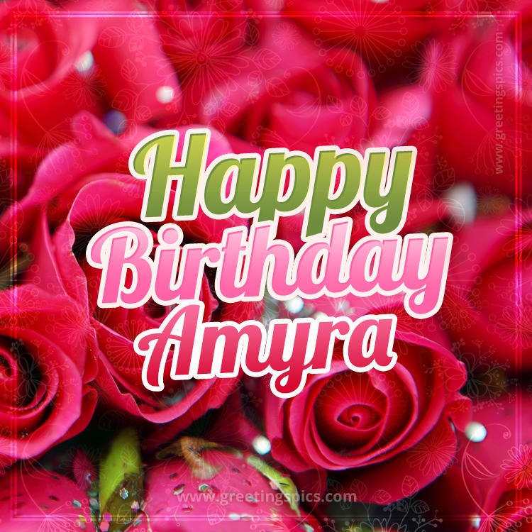 Happy Birthday Amyra beautiful Image with red roses (square shape image)