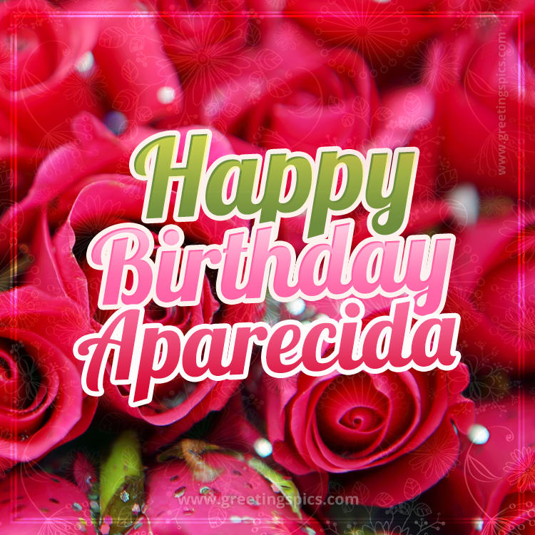 Happy Birthday Aparecida beautiful Image with red roses (square shape image)