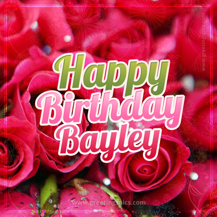 Happy Birthday Bayley beautiful Image with red roses (square shape image)