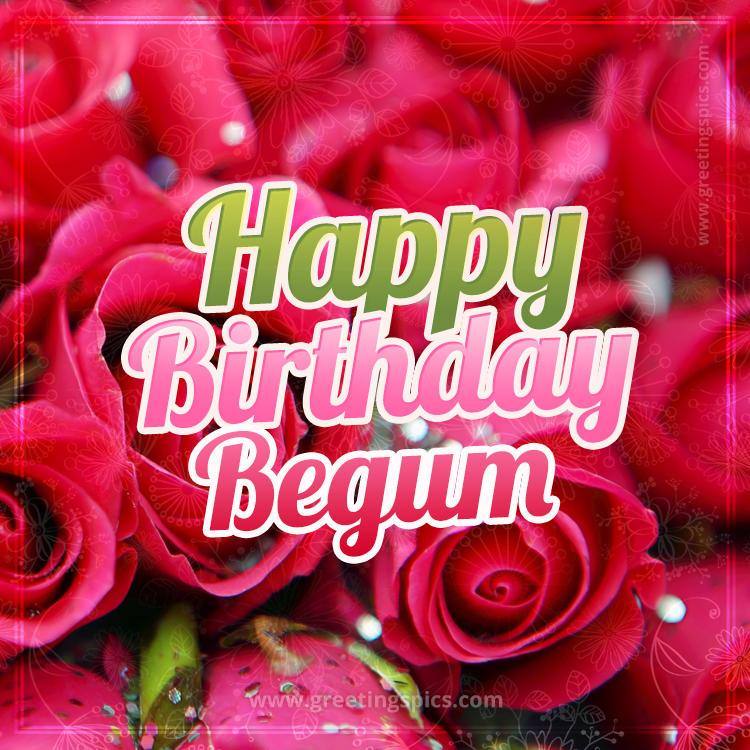 Happy Birthday Begum beautiful Image with red roses (square shape image)