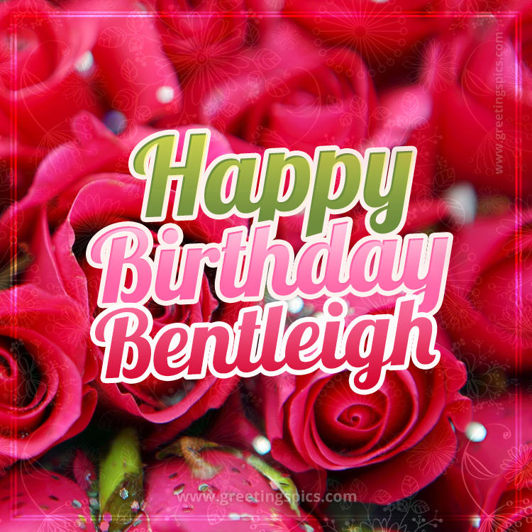 Happy Birthday Bentleigh beautiful Image with red roses (square shape image)