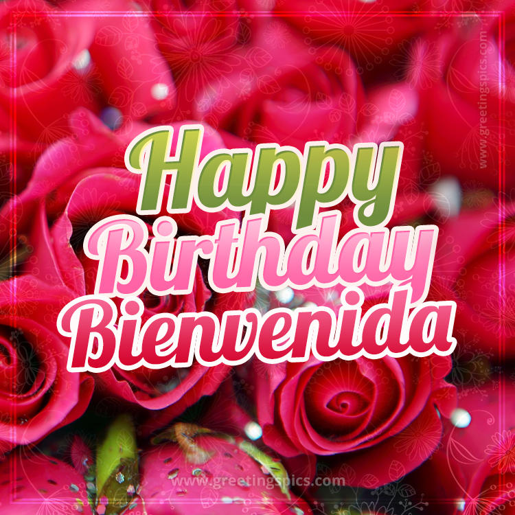 Happy Birthday Bienvenida beautiful Image with red roses (square shape image)