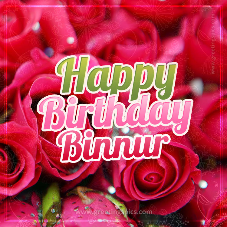 Happy Birthday Binnur beautiful Image with red roses (square shape image)