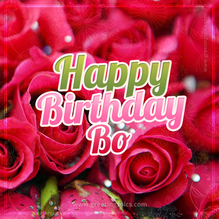 Happy Birthday Bo beautiful Image with red roses (square shape image)