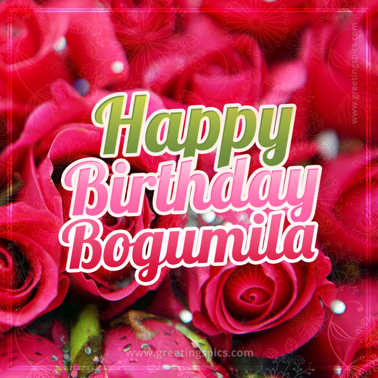 Happy Birthday Bogumila beautiful Image with red roses (square shape image)