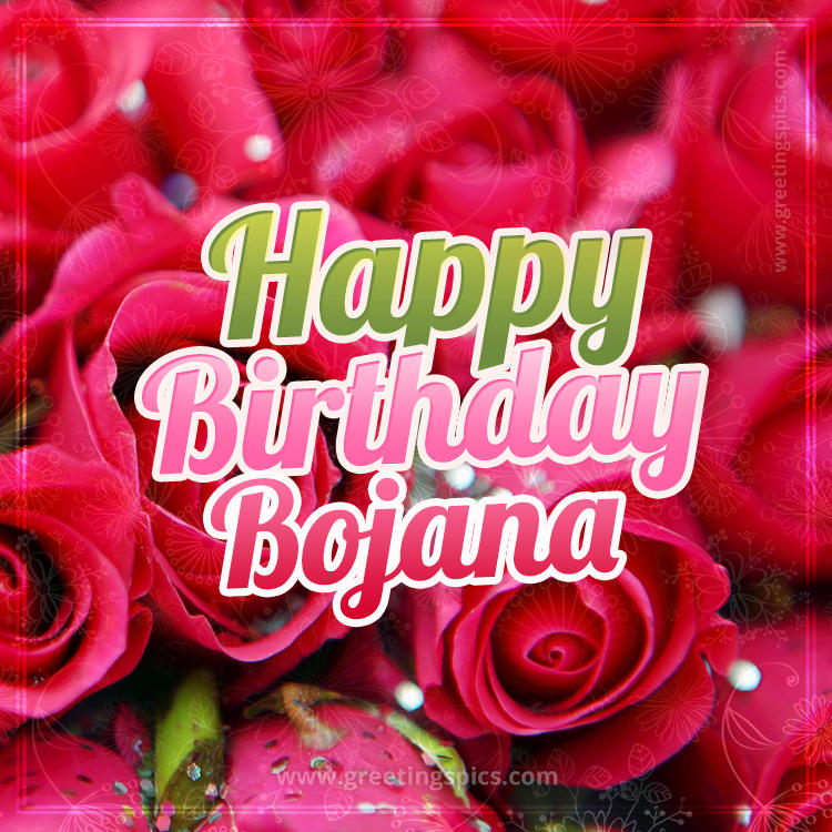 Happy Birthday Bojana beautiful Image with red roses (square shape image)