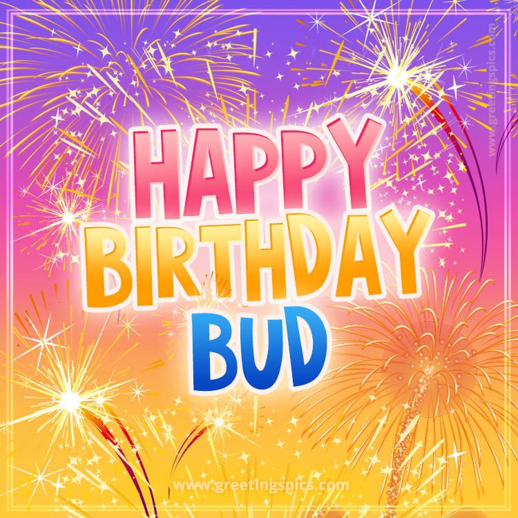 Happy Birthday Bud Picture with fireworks (square shape image)