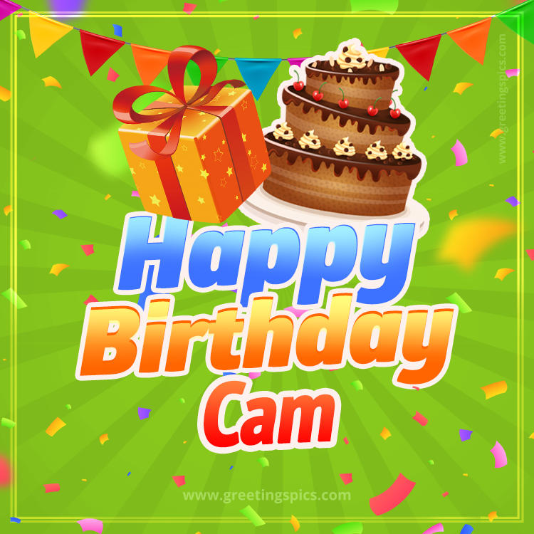 Happy Birthday Cam picture with flags, chocolate cake and gift box (square shape image)