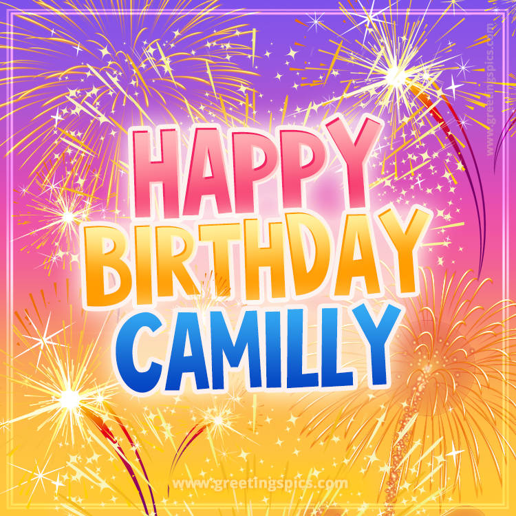 Happy Birthday Camilly Picture with fireworks (square shape image)