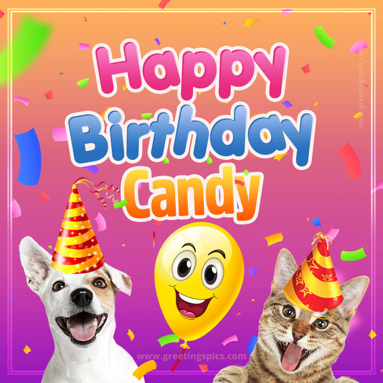 Happy Birthday Candy Funny Image with cat and dog (square shape image)