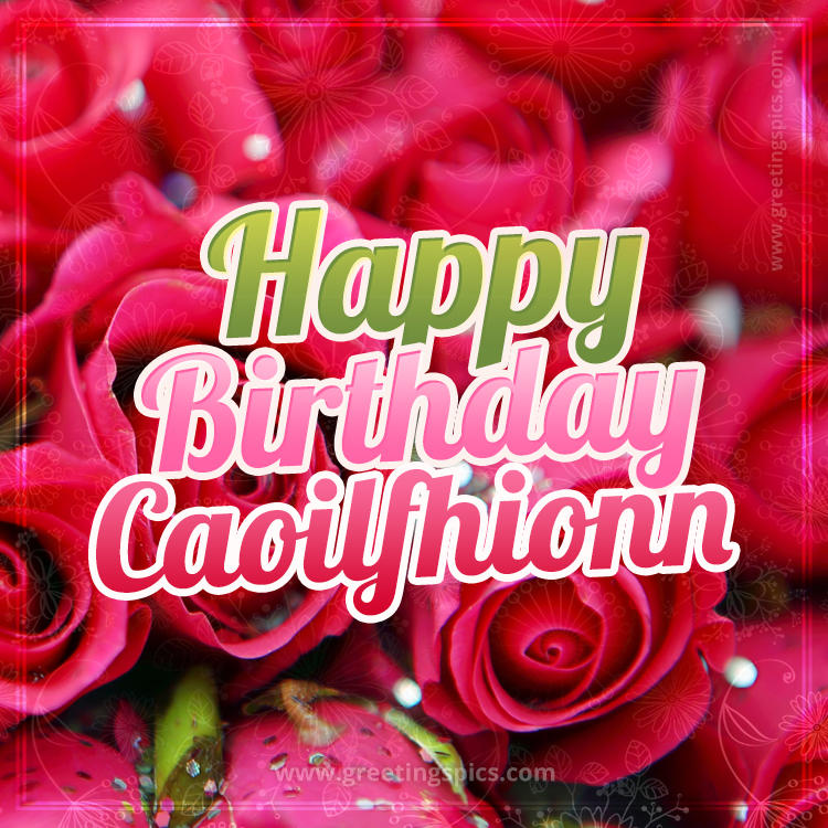 Happy Birthday Caoilfhionn beautiful Image with red roses (square shape image)