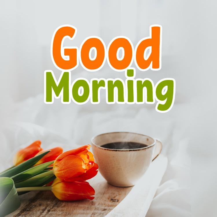 Good Morning Picture with tulips and cup of coffee - square size (square shape image)