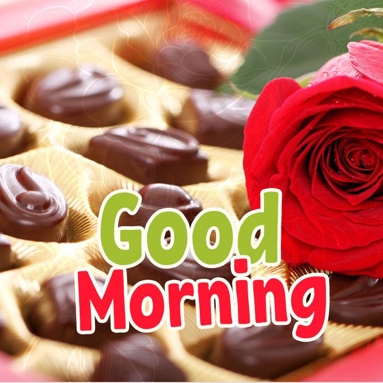 Good Morning - picture with a rose and chocolates - square picture (square shape image)