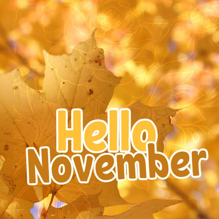 Hello November Image - square picture (square shape image)