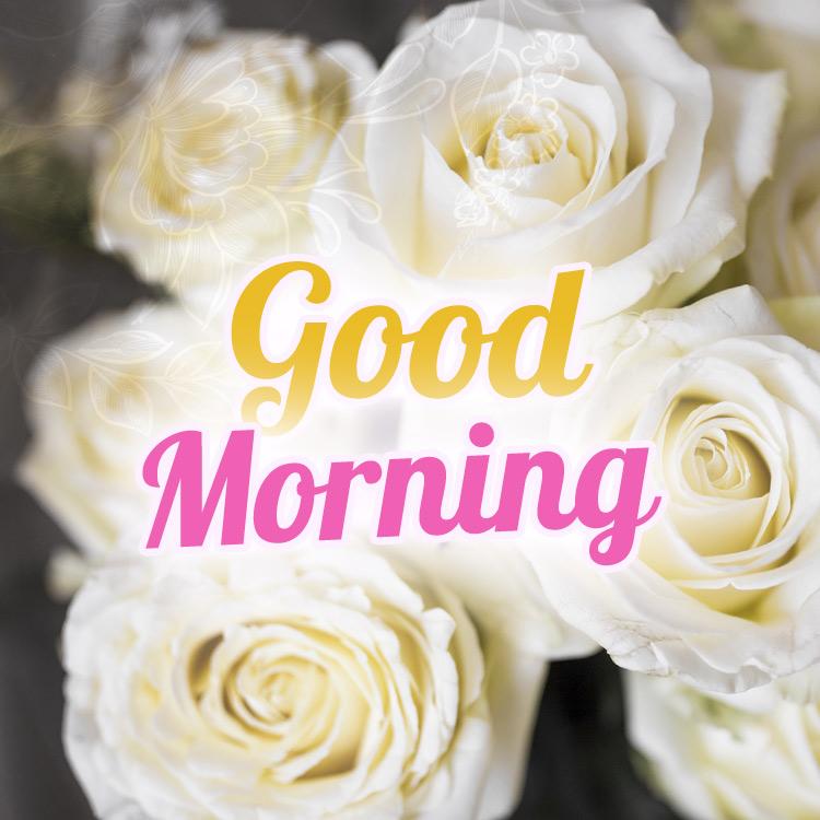 Good Morning Image with white roses, square size (square shape image)