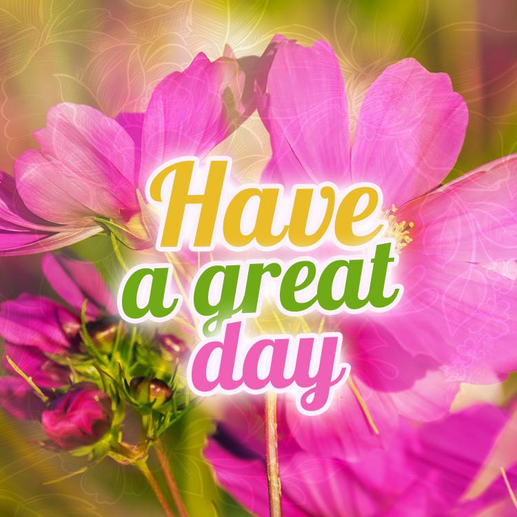 Have a great day image, with beautiful pink flower, square shape (square shape image)