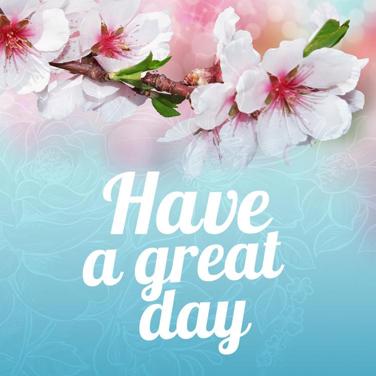 Have a great day image, with nice flowers on tree, square shape (square shape image)