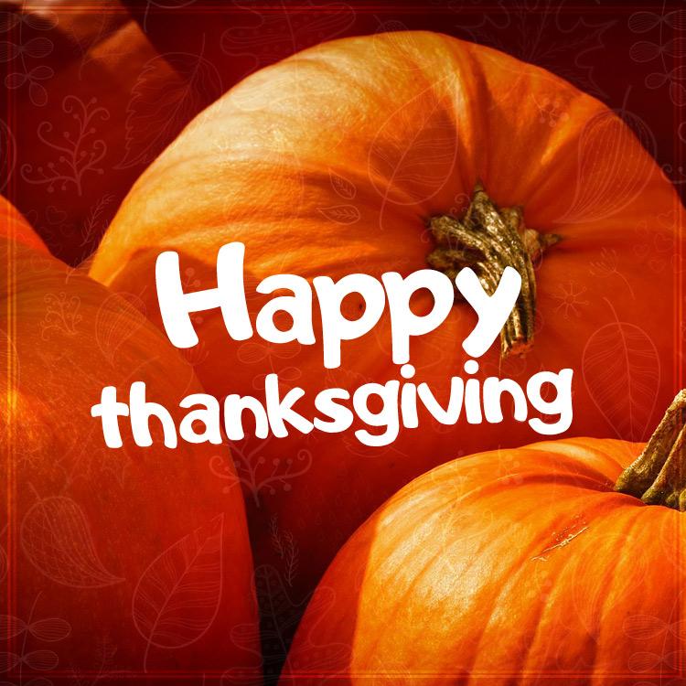 Happy Thanksgiving image with pumpkins, square picture (square shape image)