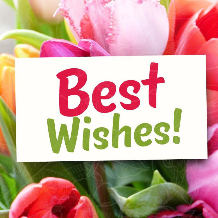 Best Wishes picture, with tulips on background, square size (square shape image)