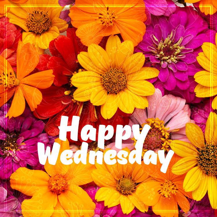 Happy Wednesday Image with colorful flowers, square picture (square shape image)