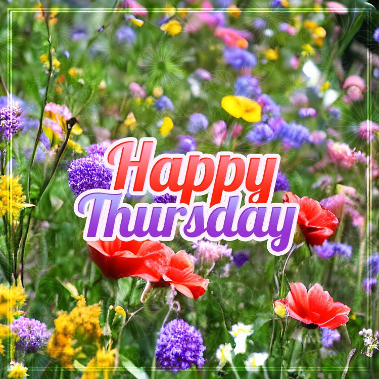 Happy Thursday Image with flowers, square size (square shape image)