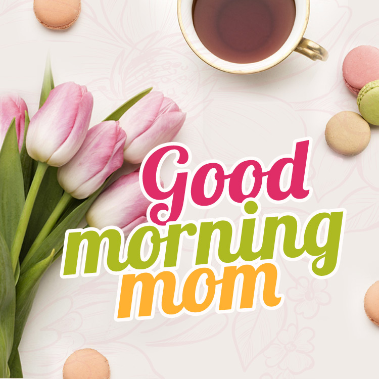 Good Morning Mom, image with beautiful tulips, square size (square shape image)