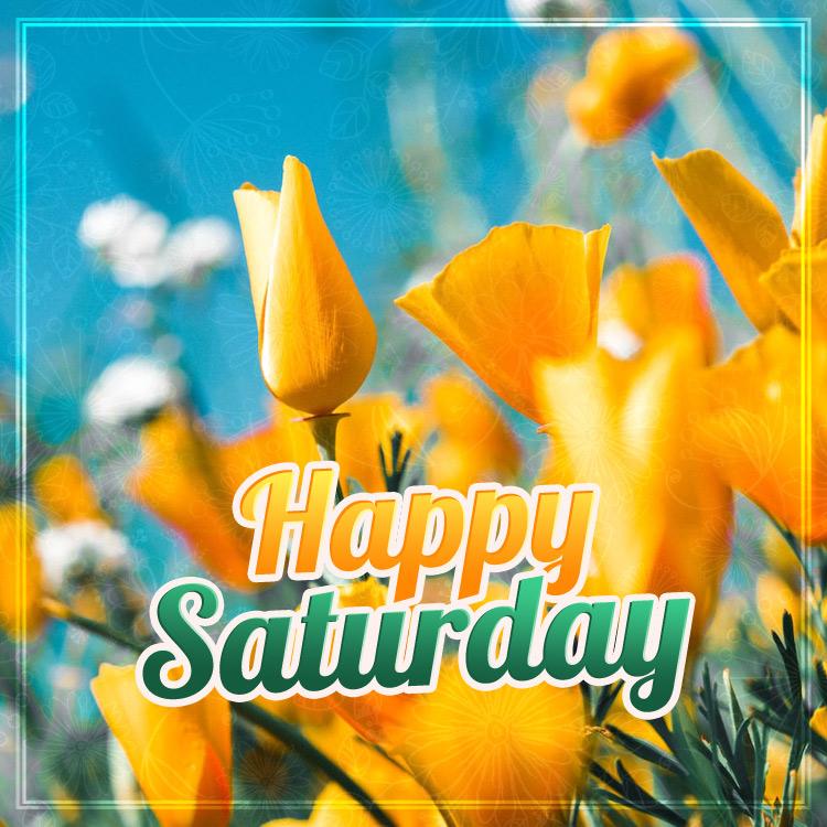 Happy Saturday Picture with yellow flowers, square size (square shape image)