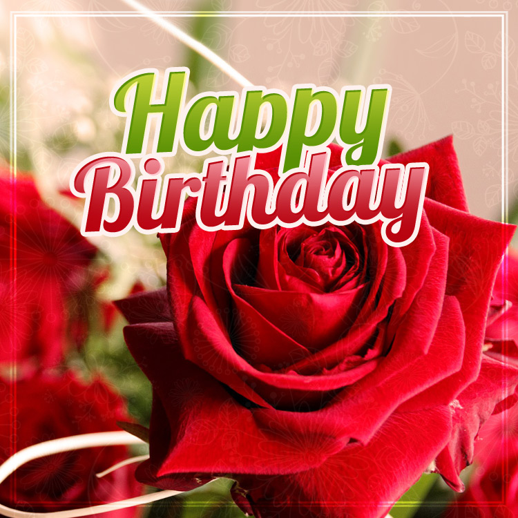 Happy birthday image with beautiful red rose, square size (square shape image)