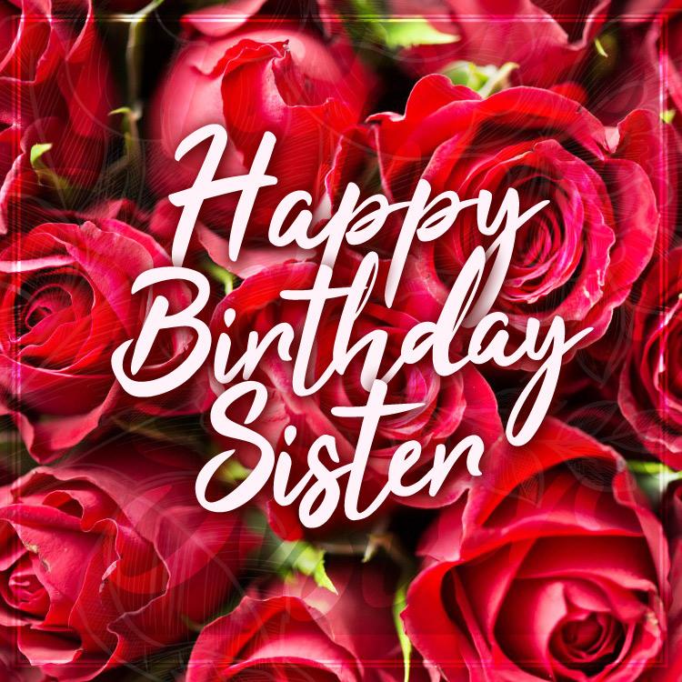 Happy Birthday Sister image with beautiful red roses, square size (square shape image)