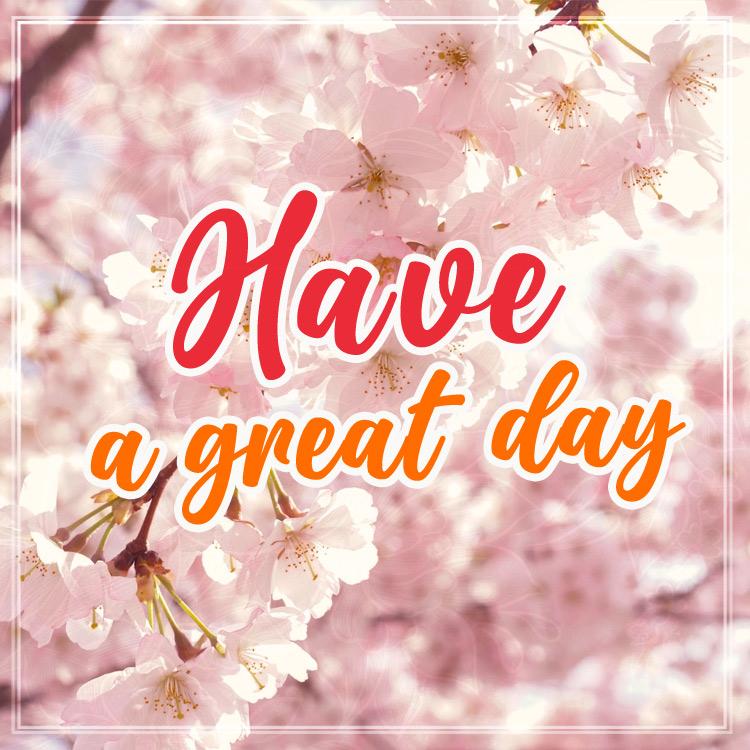 Have a great day, image with beautiful pink flowers on tree, square size (square shape image)