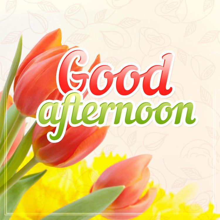 Good Afternoon image with colorful tulips, square size (square shape image)