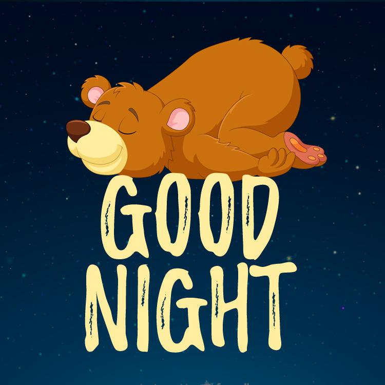 Good Night funny Image with sleeping cartoon bear, square size (square shape image)