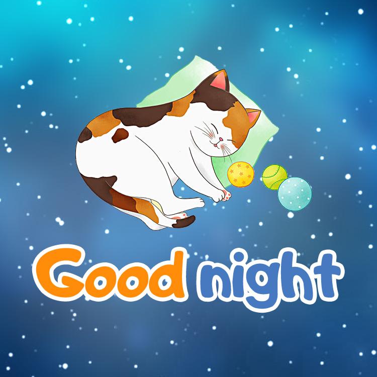 Good Night image with cartoon cat, square size (square shape image)